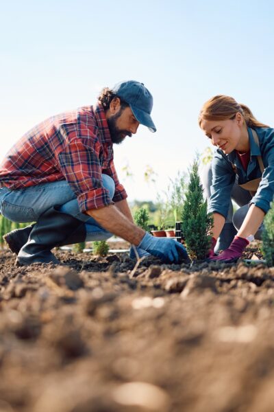Klimaticky odolná záhrada v jej začiatkoch