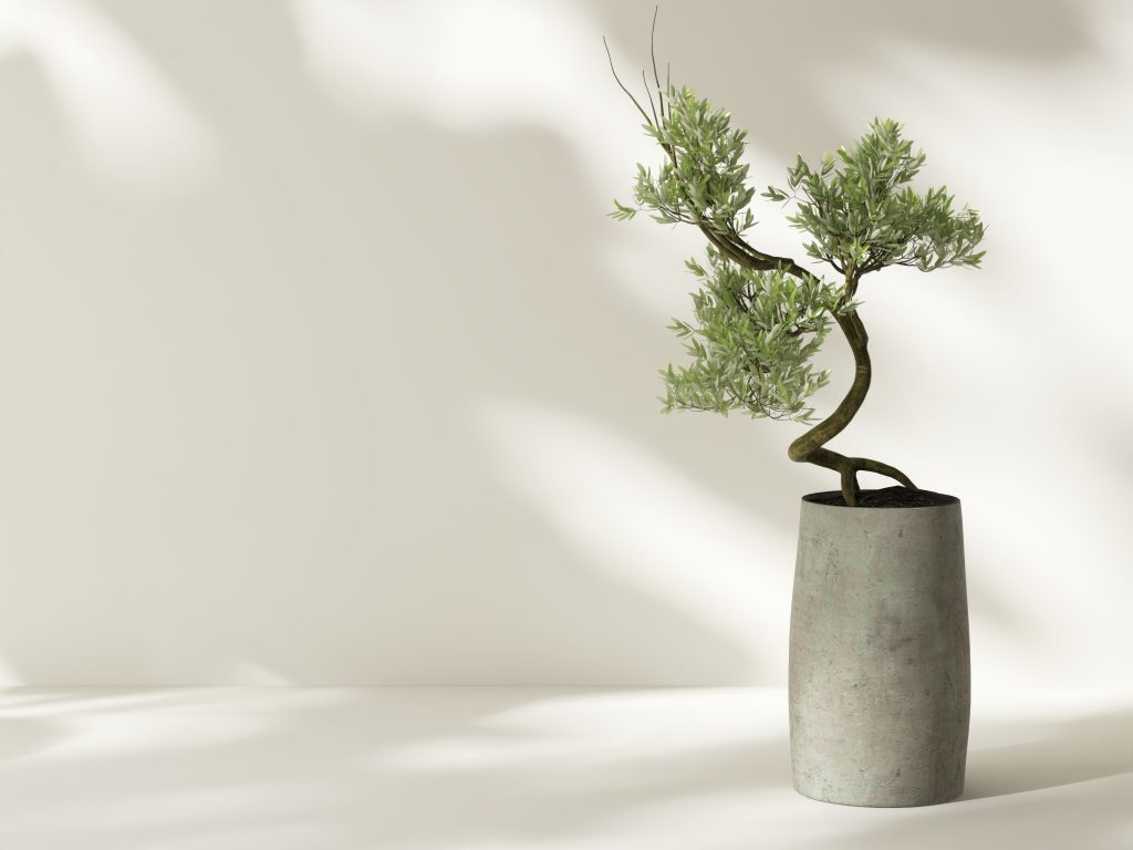 Betónový kvetináč na bonsai